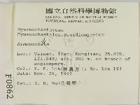 刺革菌屬藏品圖，第2張