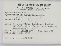 刺革菌屬藏品圖，第2張