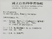刺革菌屬藏品圖，第2張