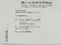 刺革菌屬藏品圖，第2張