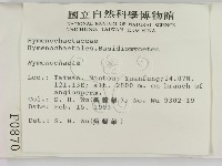 刺革菌屬藏品圖，第2張