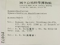 刺革菌屬藏品圖，第2張