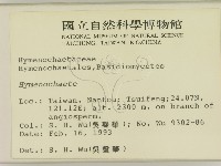 刺革菌屬藏品圖，第2張