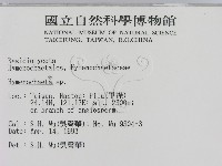 刺革菌屬藏品圖，第2張
