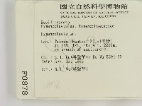 刺革菌屬藏品圖，第2張