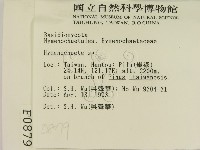 刺革菌屬藏品圖，第2張