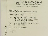 刺革菌屬藏品圖，第2張