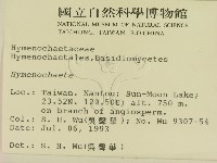 刺革菌屬藏品圖，第2張