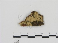 登錄號:F0000884藏品圖，第1張