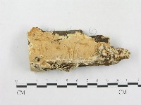 登錄號:F0000885藏品圖，第1張