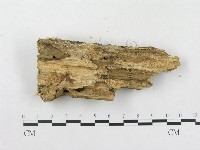 登錄號:F0000885藏品圖，第3張