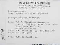 登錄號:F0000886藏品圖，第2張