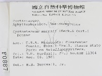 登錄號:F0000887藏品圖，第2張