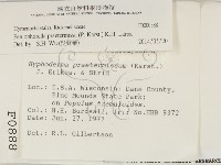 登錄號:F0000888藏品圖，第2張