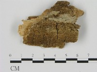 登錄號:F0000888藏品圖，第1張