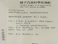 登錄號:F0000889藏品圖，第2張