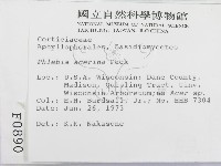登錄號:F0000890藏品圖，第2張