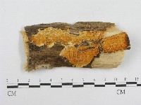登錄號:F0000890藏品圖，第1張