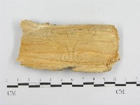 登錄號:F0000890藏品圖，第3張