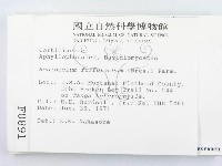 登錄號:F0000891藏品圖，第2張