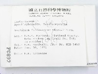 登錄號:F0000892藏品圖，第2張