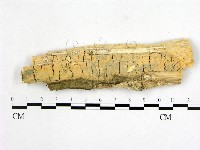 登錄號:F0000894藏品圖，第1張