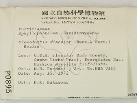 登錄號:F0000895藏品圖，第2張