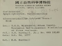 登錄號:F0000896藏品圖，第2張