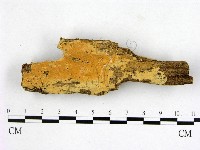 登錄號:F0000897藏品圖，第1張