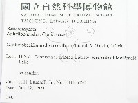 登錄號:F0000899藏品圖，第2張