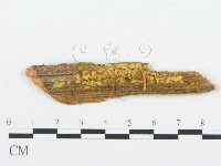登錄號:F0000899藏品圖，第1張