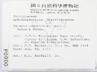 登錄號:F0000900藏品圖，第2張