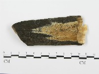 登錄號:F0000900藏品圖，第1張