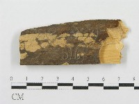 登錄號:F0000901藏品圖，第1張