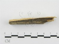 登錄號:F0000901藏品圖，第3張
