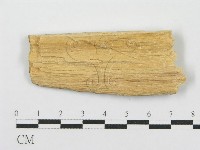 登錄號:F0000901藏品圖，第4張