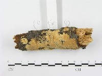 登錄號:F0000902藏品圖，第3張