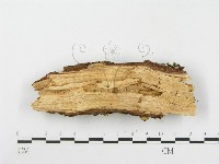 登錄號:F0000902藏品圖，第4張