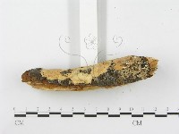 登錄號:F0000902藏品圖，第5張