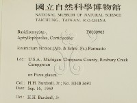 登錄號:F0000903藏品圖，第2張