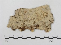 登錄號:F0000903藏品圖，第1張