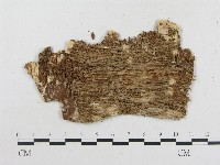 登錄號:F0000903藏品圖，第3張