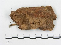 登錄號:F0000904藏品圖，第3張