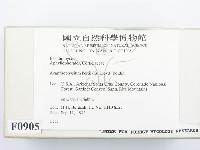 登錄號:F0000905藏品圖，第2張