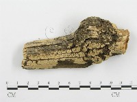 登錄號:F0000905藏品圖，第1張