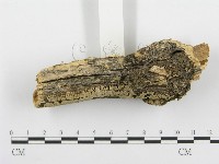登錄號:F0000905藏品圖，第3張