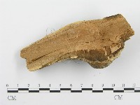登錄號:F0000905藏品圖，第4張