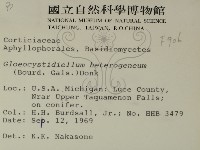 登錄號:F0000906藏品圖，第2張