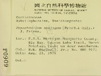 登錄號:F0000909藏品圖，第2張