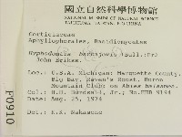 登錄號:F0000910藏品圖，第2張